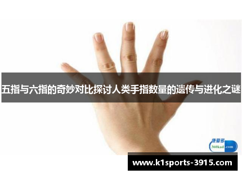五指与六指的奇妙对比探讨人类手指数量的遗传与进化之谜